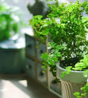 济源专属于你的开运指南，助你鸿运当头福满身！