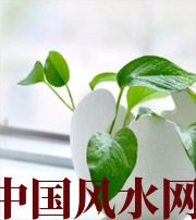 济源家中摆放六种吉祥物，会打开您的财运大门！