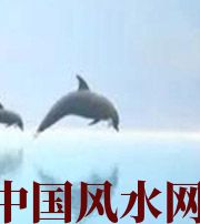 济源做梦梦到这些，是要富裕的征兆！
